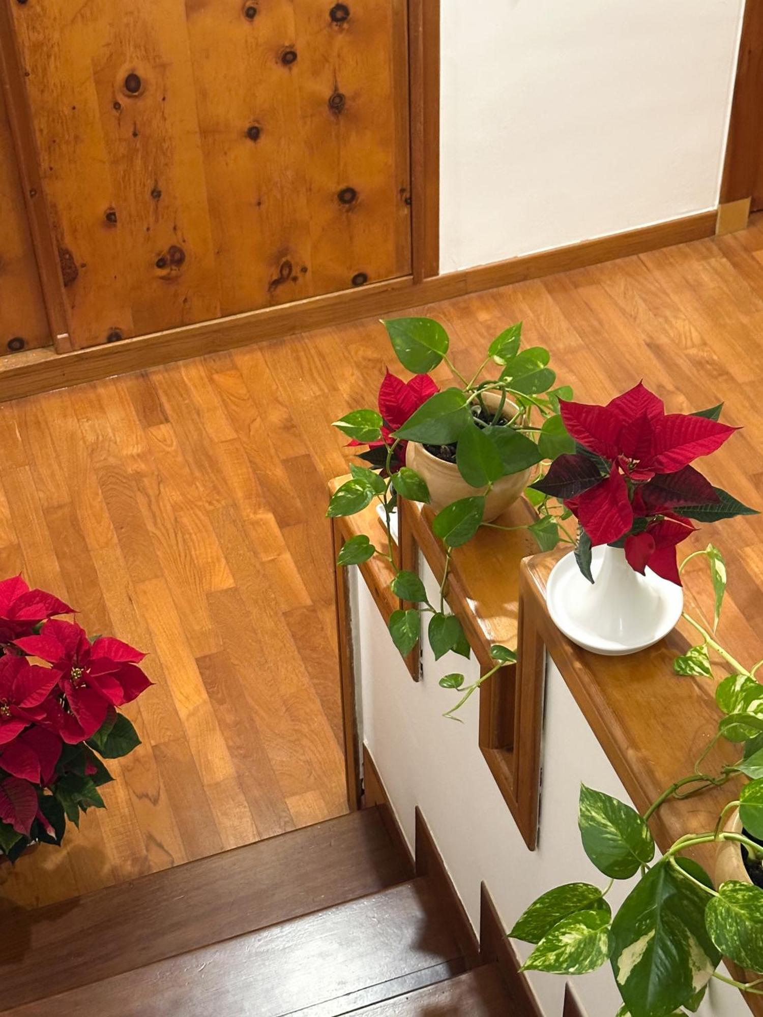 B&B Le Foglie D'Ulivo Бари Екстериор снимка