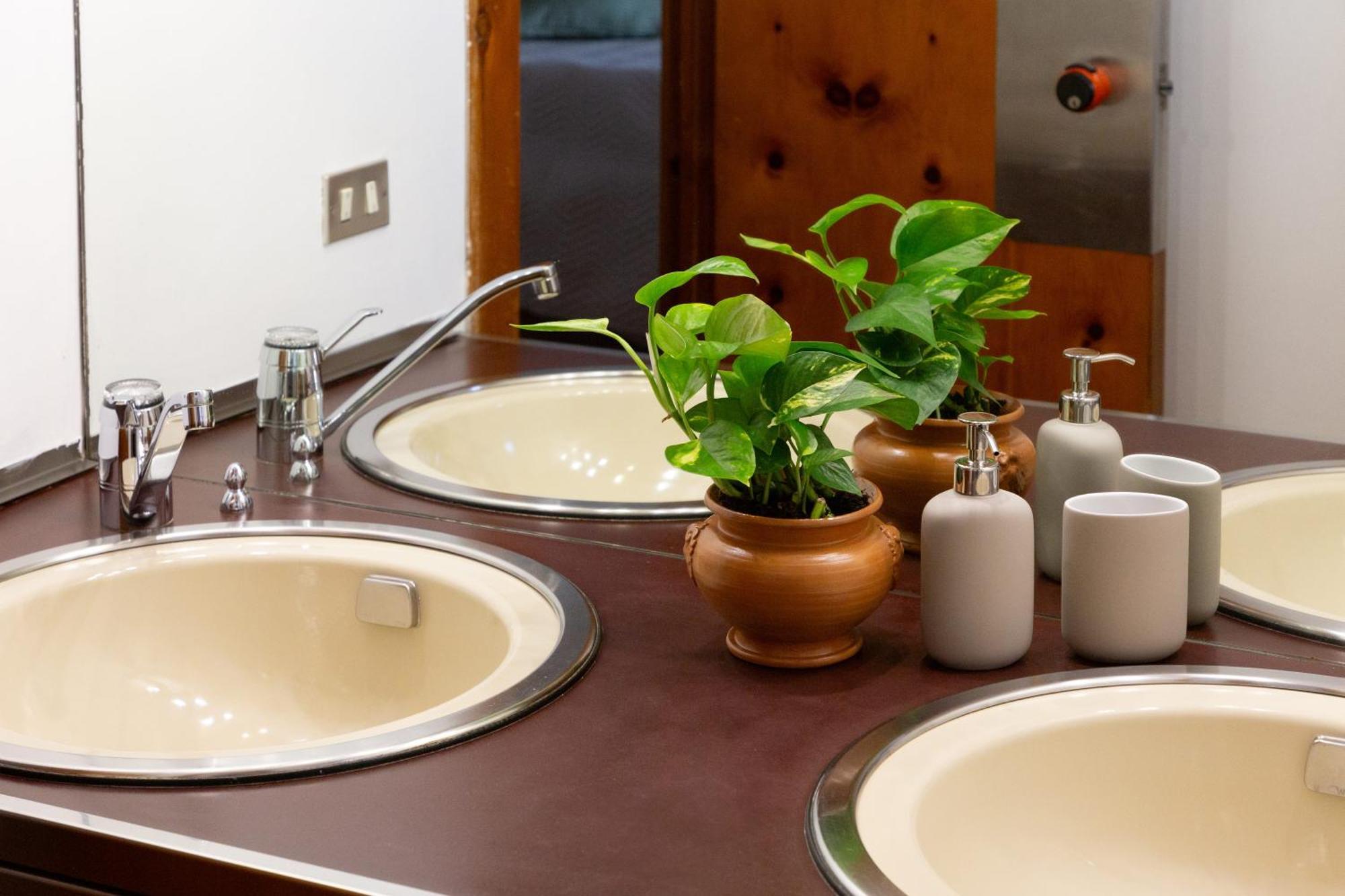 B&B Le Foglie D'Ulivo Бари Екстериор снимка