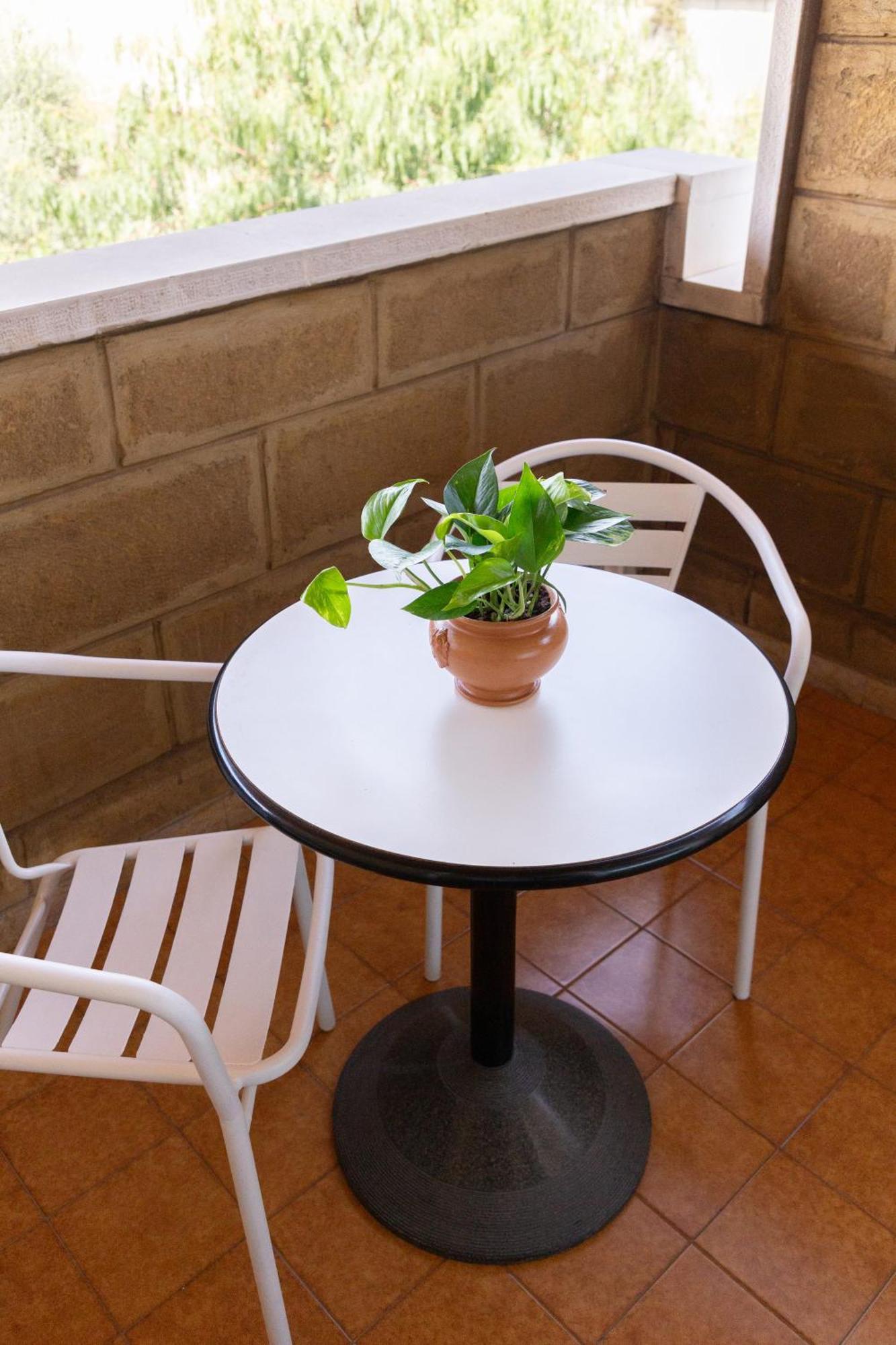B&B Le Foglie D'Ulivo Бари Екстериор снимка